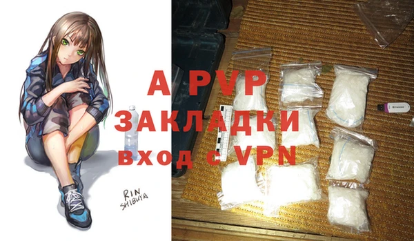 амф Горняк