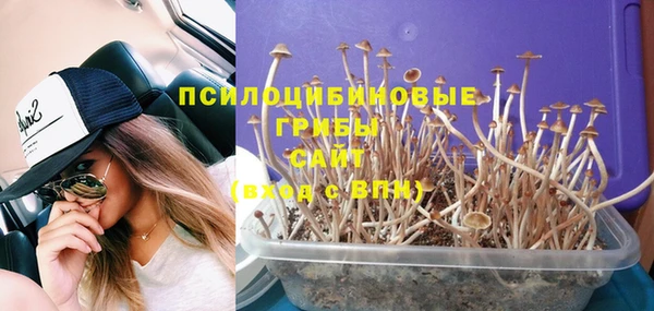 амф Горняк