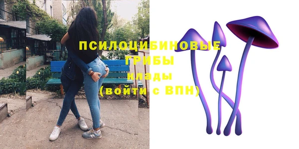 мяу мяу мука Горно-Алтайск