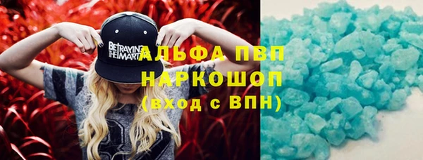 амф Горняк