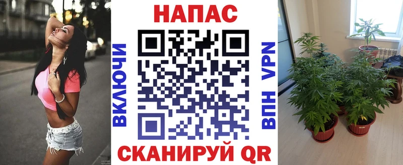 Бошки Шишки сатива  Харовск 